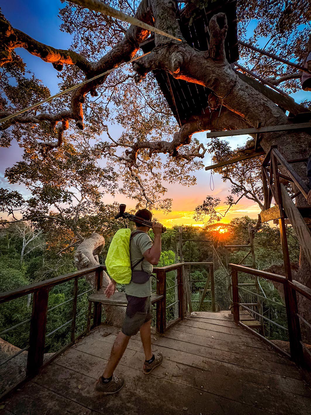 Hike through the Amazonian canopies