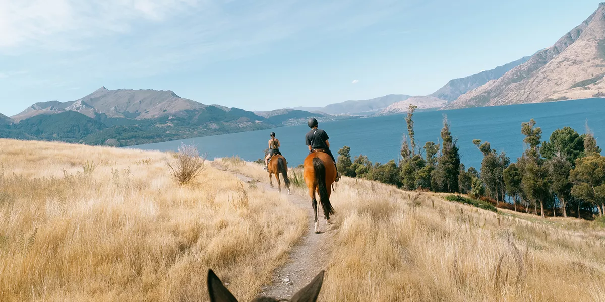 New Zealand Panorama Trip