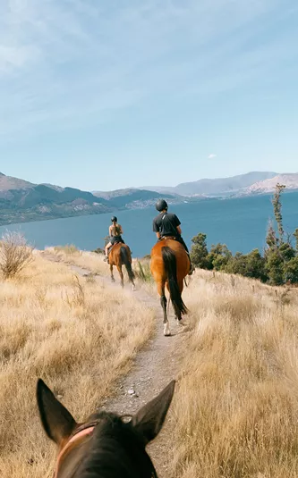 New Zealand Panorama Trip