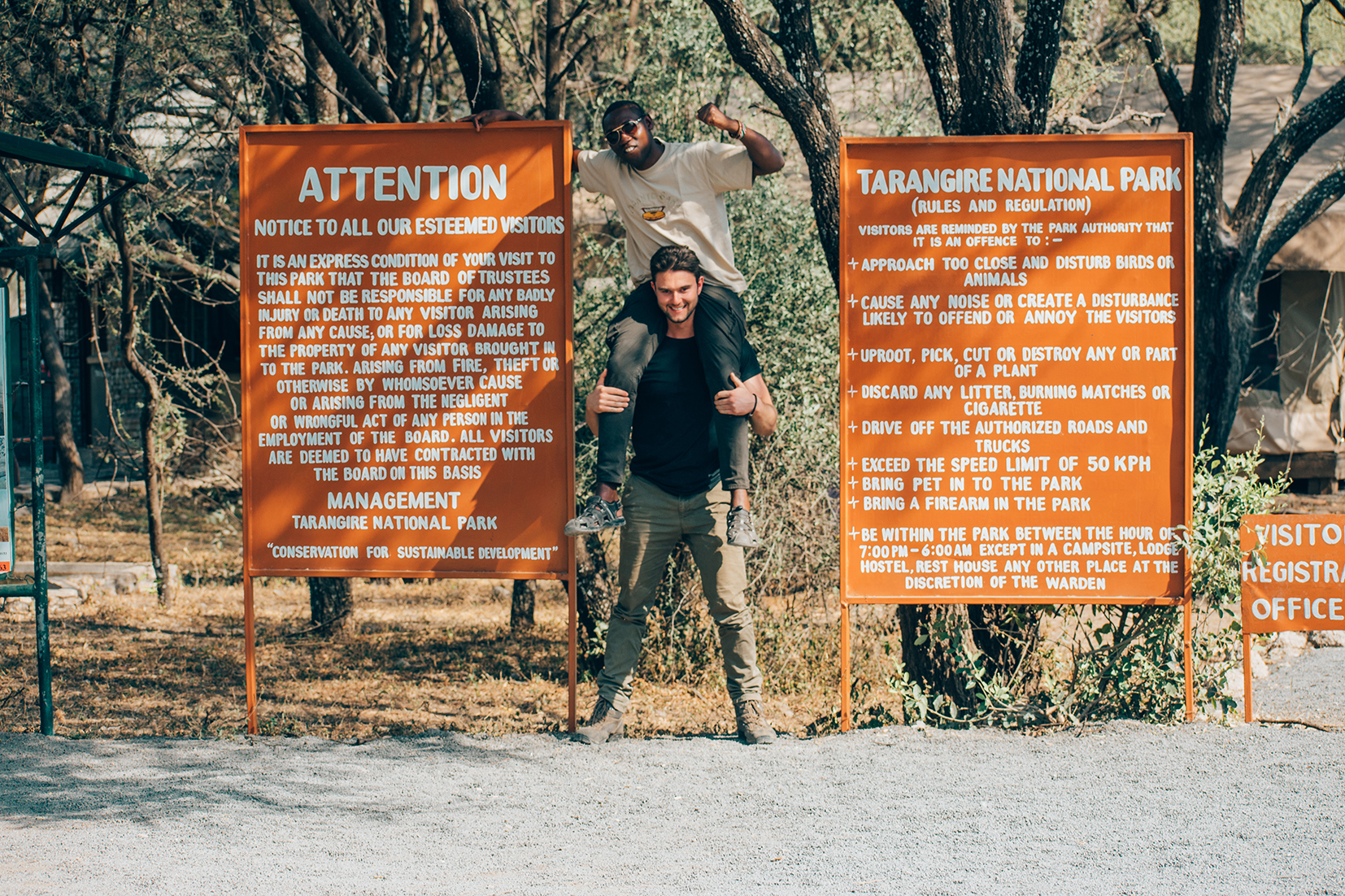 Take a Game Drive in Tarangire