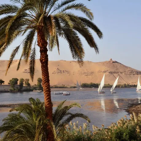 Sailboats with white sails and desert backdrop on the River Nile, Aswan in Egypt