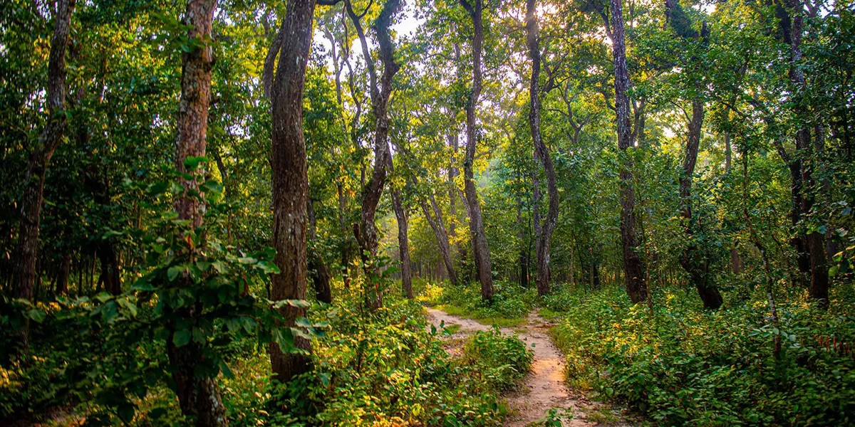 Kathmandu and Chitwan National Park Trip