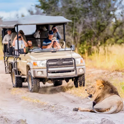 Southern Africa Safari Reunion Trip