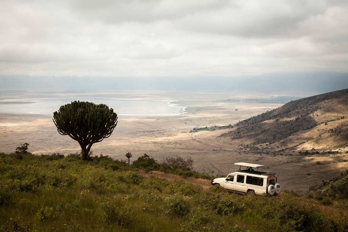 Jeep exploring a nature landscape in Tanzania.