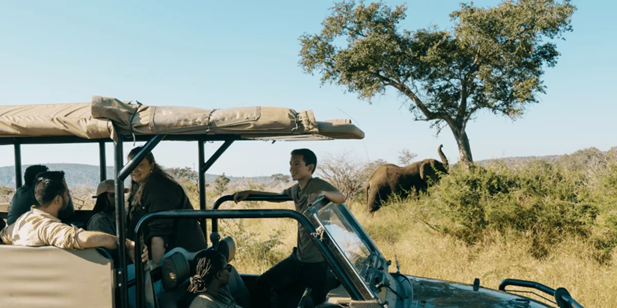 South Africa Tours & Trips 2024 / 2025 Contiki ZA