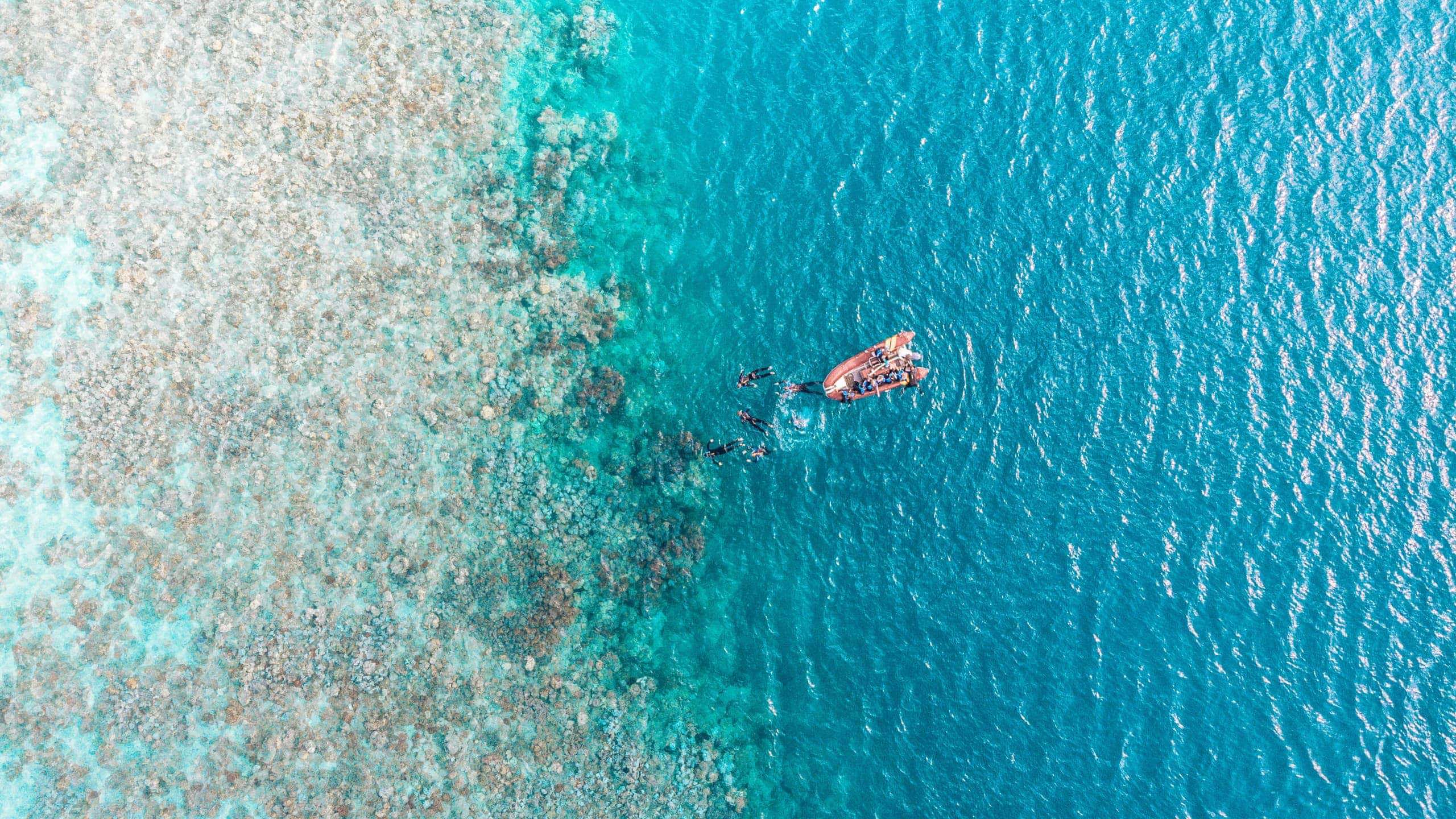 Aerial drone view of snorkellers and divers entering the water from a boat at the edge of the Great Barrier Reef in Queensland Australia - Contiki Australia Tour