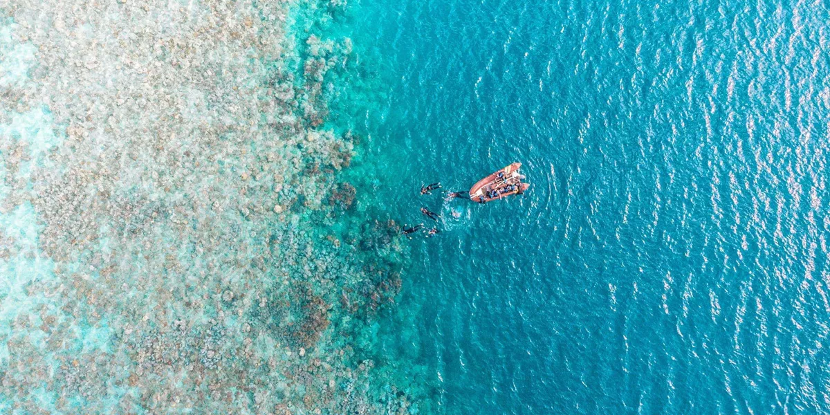Aerial drone view of snorkellers and divers entering the water from a boat at the edge of the Great Barrier Reef in Queensland Australia - Contiki Australia Tour