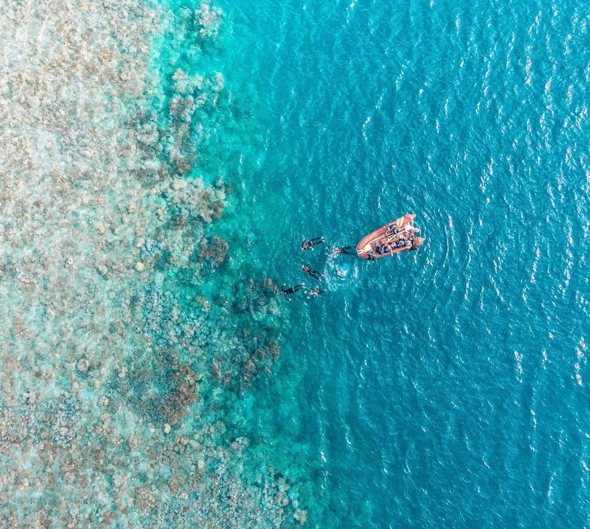 Aerial drone view of snorkellers and divers entering the water from a boat at the edge of the Great Barrier Reef in Queensland Australia - Contiki Australia Tour