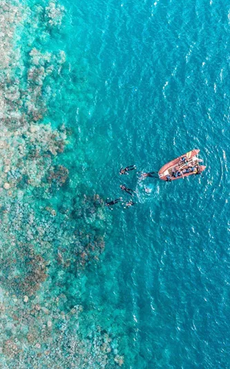 Aerial drone view of snorkellers and divers entering the water from a boat at the edge of the Great Barrier Reef in Queensland Australia - Contiki Australia Tour