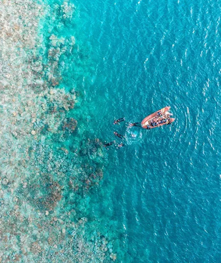 Aerial drone view of snorkellers and divers entering the water from a boat at the edge of the Great Barrier Reef in Queensland Australia - Contiki Australia Tour