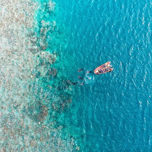Aerial drone view of snorkellers and divers entering the water from a boat at the edge of the Great Barrier Reef in Queensland Australia - Contiki Australia Tour