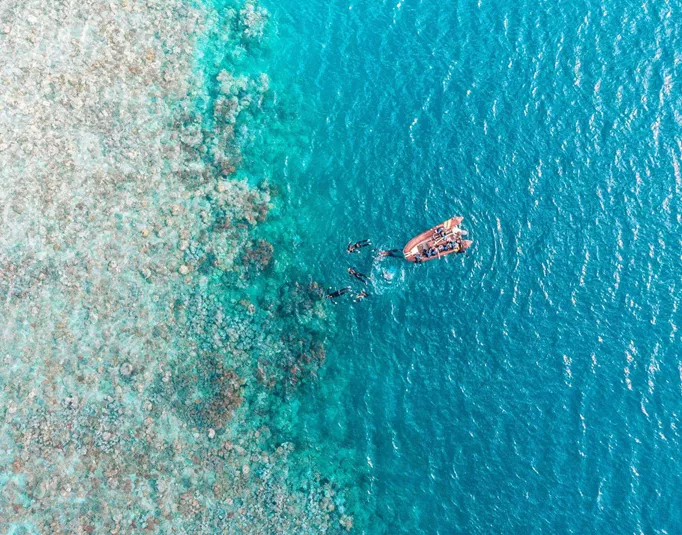 Aerial drone view of snorkellers and divers entering the water from a boat at the edge of the Great Barrier Reef in Queensland Australia - Contiki Australia Tour