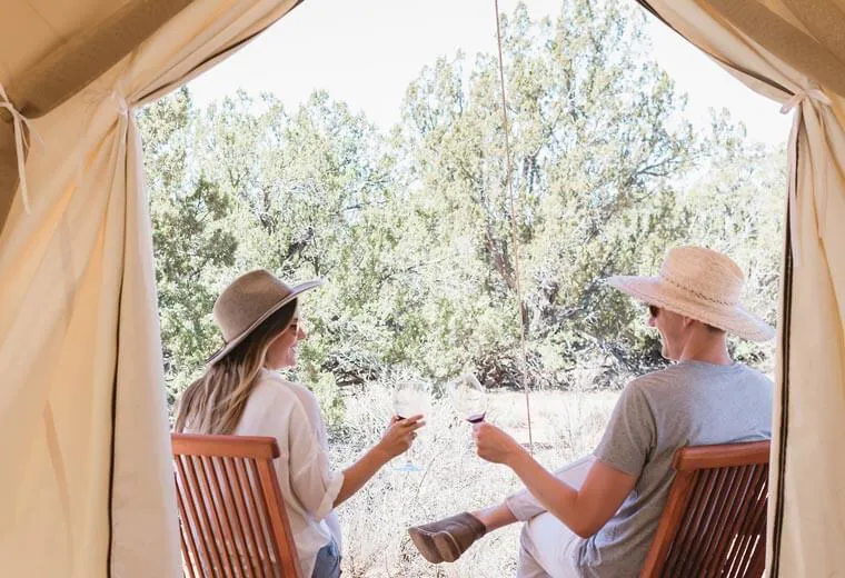 Two people making a toast