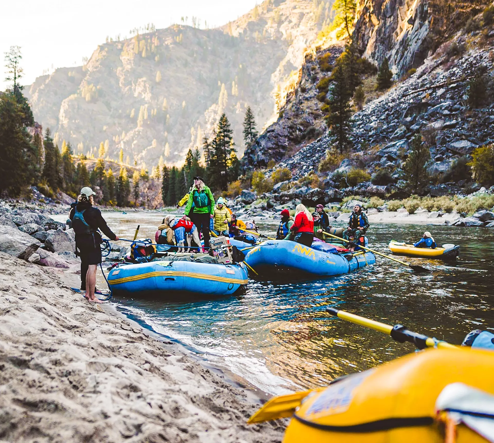 Yellowstone and Grand Tetons Trip