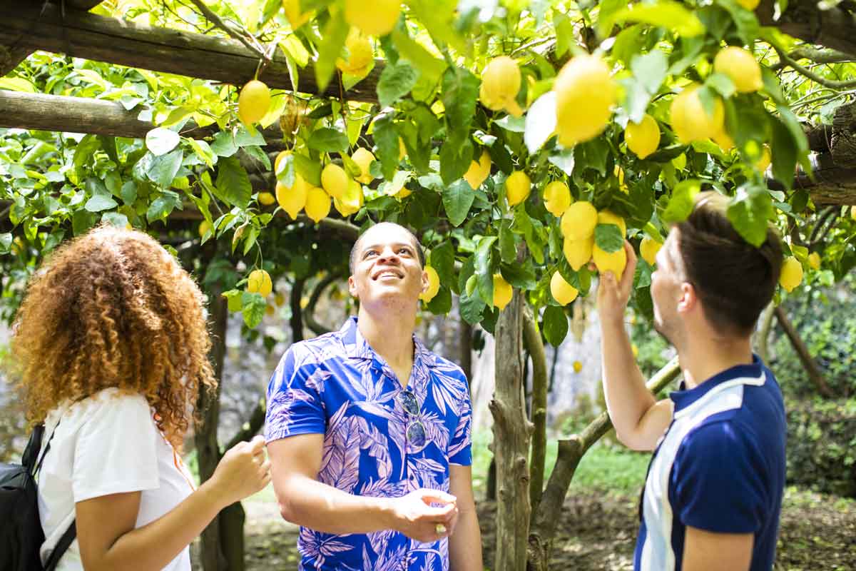 Group Of Travels Exploring Lemon Grove On Amalfi Coast Italy 0545Eurs2019b
