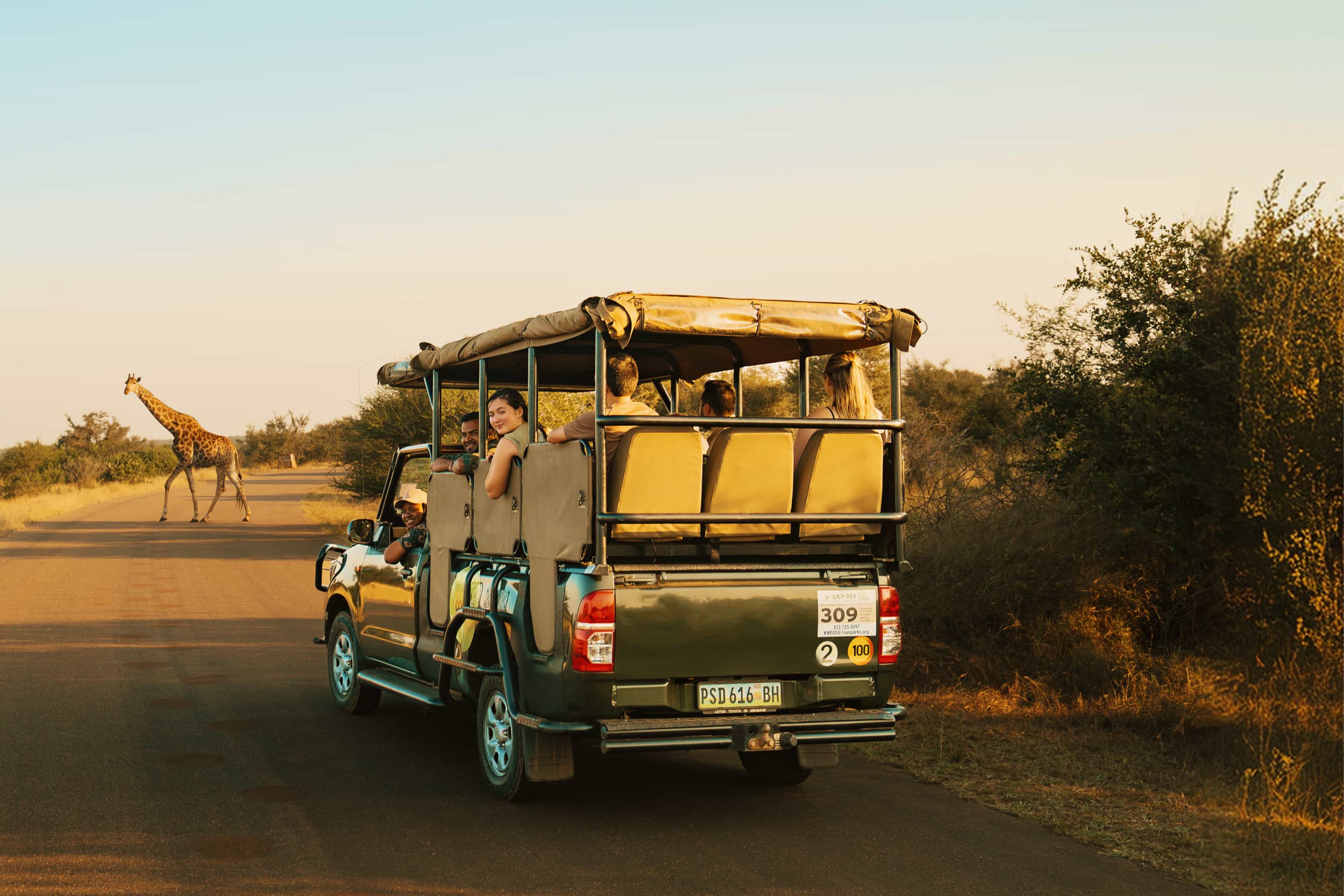 Travellers in an open safari vehicle watch a giraffe cross the road in Kruger National Park, South Africa.