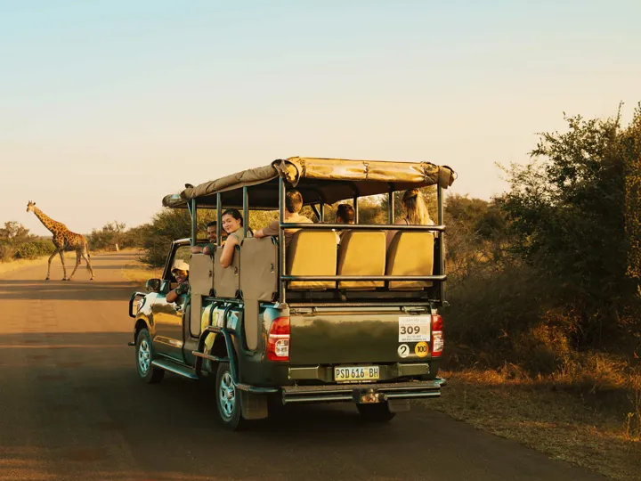 Travellers in an open safari vehicle watch a giraffe cross the road in Kruger National Park, South Africa.