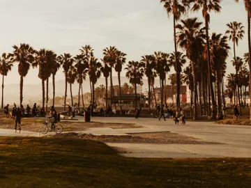Cyclists and skaters at the iconic Venice Beach boardwalk and skate park lined with tall palm trees at golden hour in Los Angeles California - Contiki USA LA to the Bay Tour