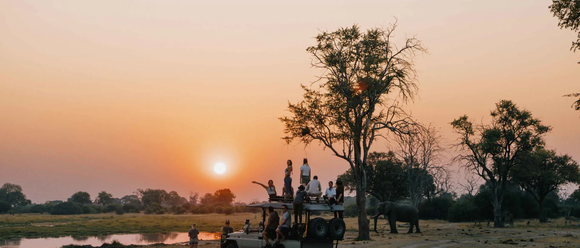 Sunset Africa Elephants