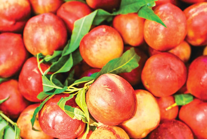 Locally Grown Peaches