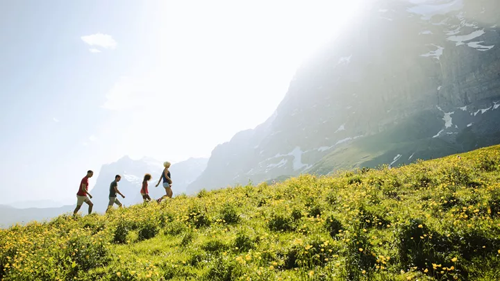 Travellers in the distance walking up a mountain in the Alps, Switzerland