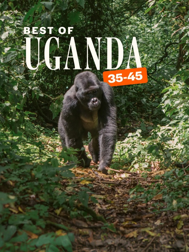 Best of Uganda 35 to 45 Tour
