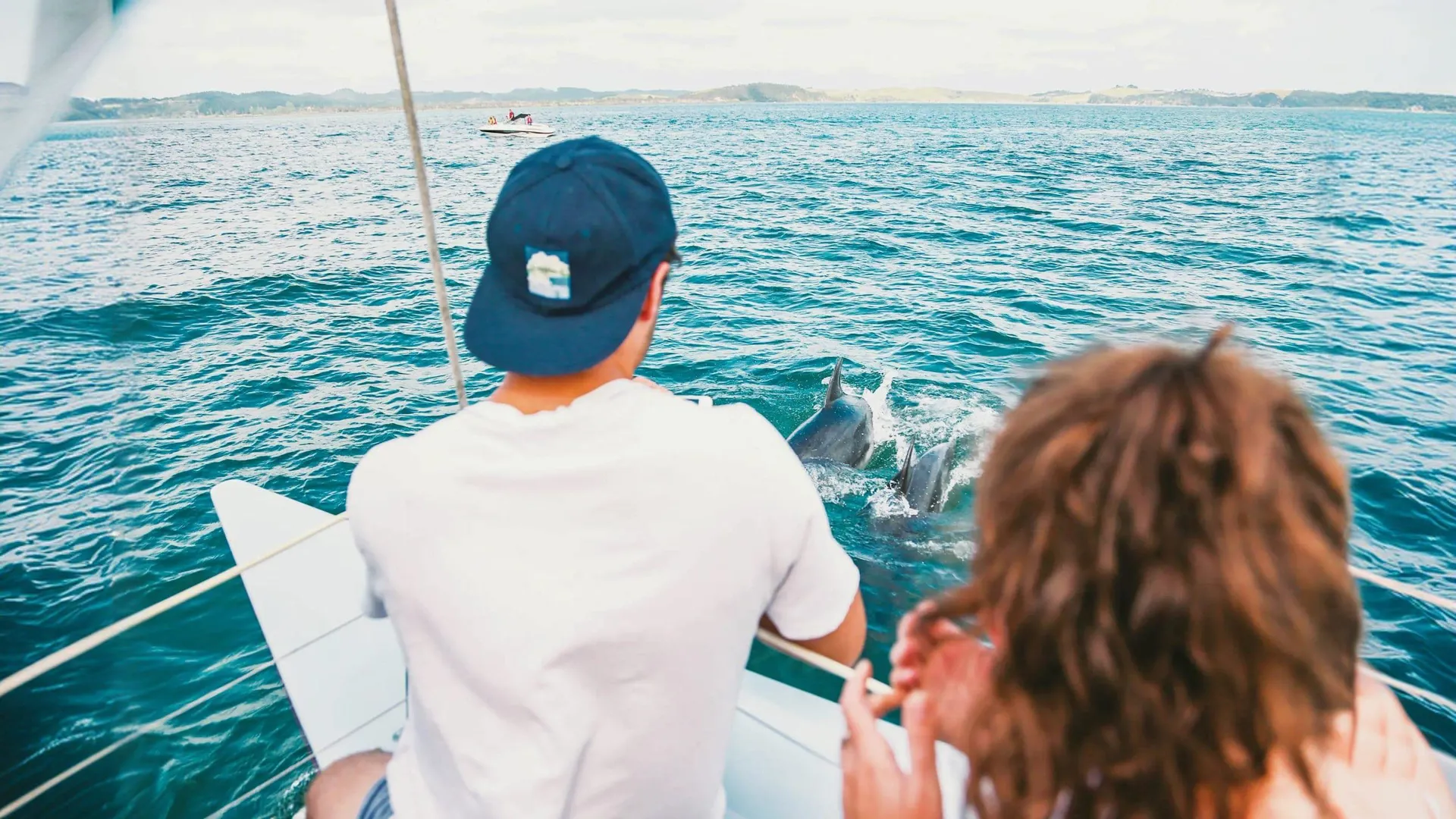 Dolphins swimming beside a boat in the Bay of Islands during Contiki's Bay of Islands & Rotorua Tour
