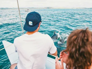 Dolphins swimming beside a boat in the Bay of Islands during Contiki's Bay of Islands & Rotorua Tour