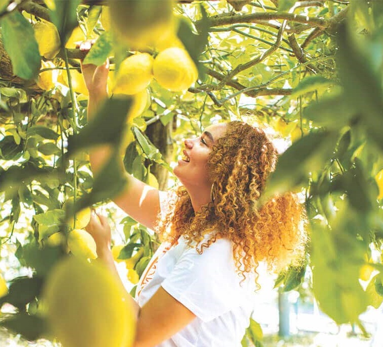 A woman admiring lemons on the tree