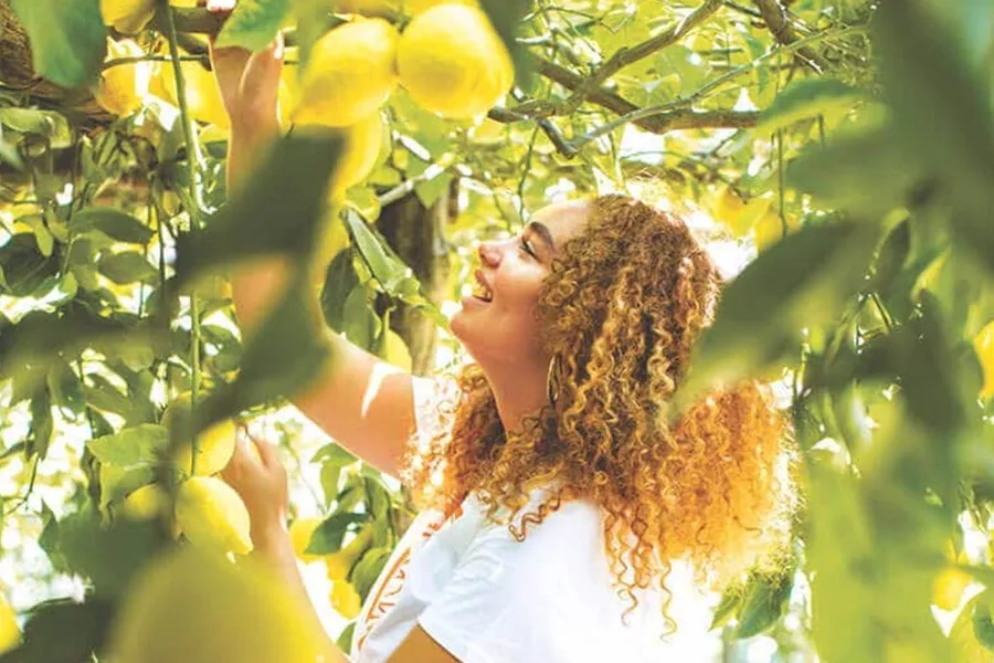 A woman admiring lemons on the tree