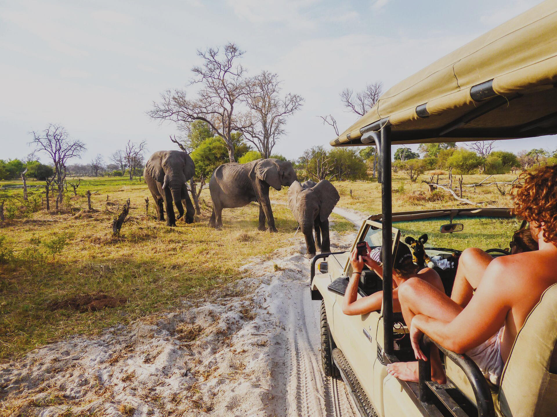 Africa safari trip elephants