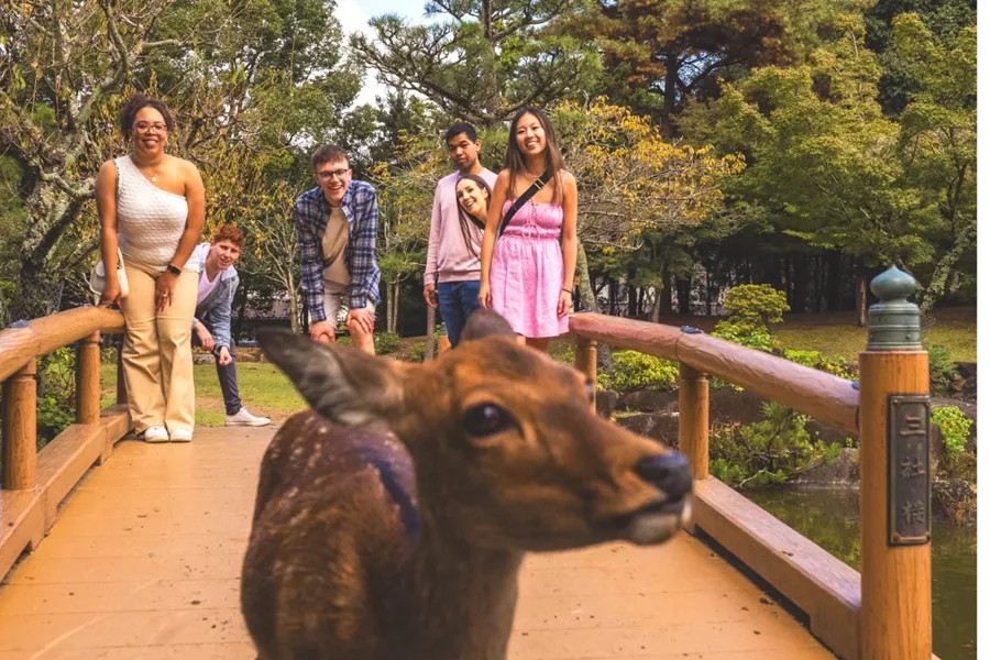 Visit Miyajima Island, Hiroshima With Contiki