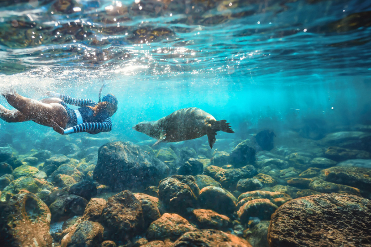 Best Spring Break Trips & Tours 2025 Contiki US