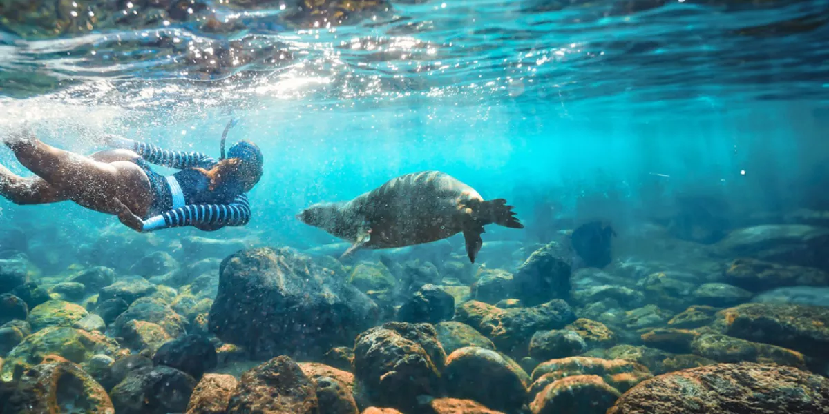 Swimmer Under Sea Turtle Swimming Next To Her