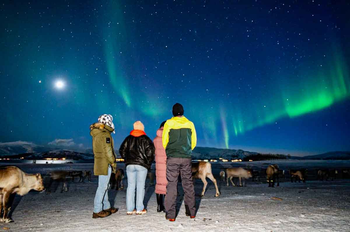 Tourists Watching Aurora Borealis