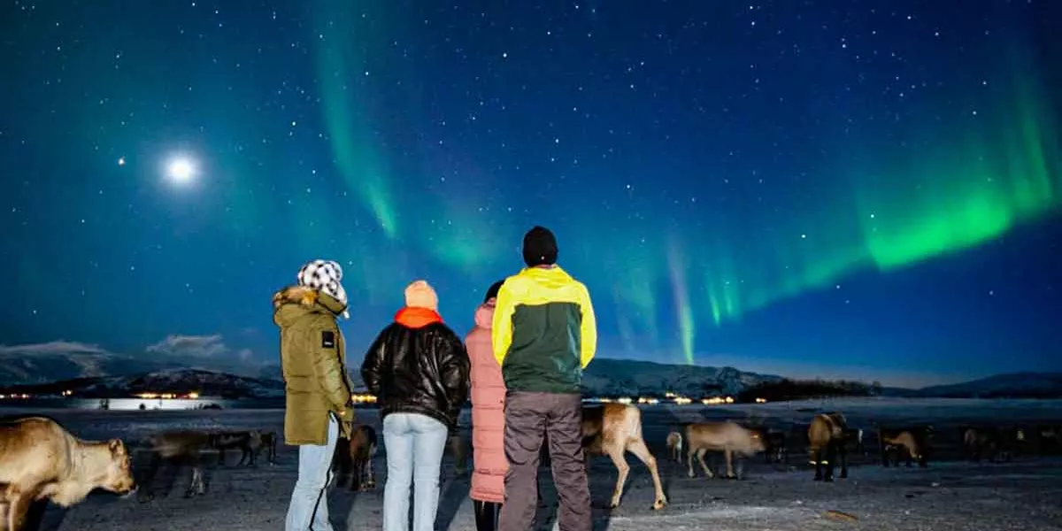 Tourists Watching Aurora Borealis