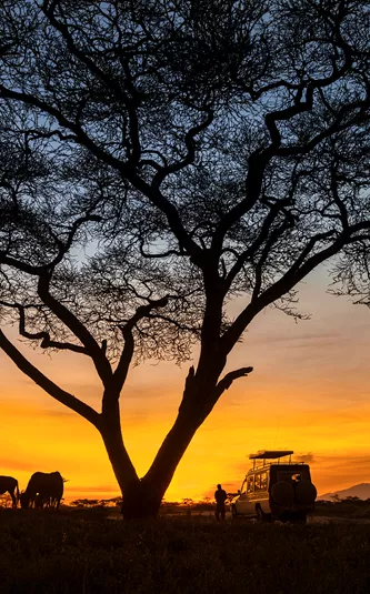 Kenyan Highlights Reunion