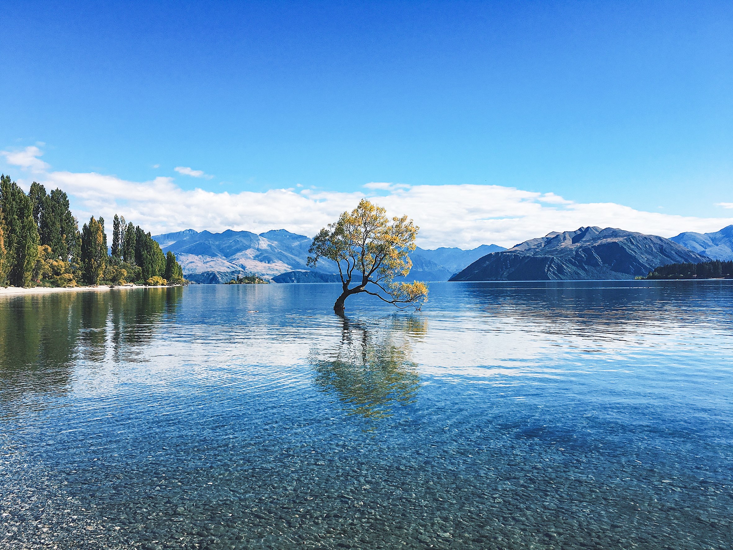 Discover Wānaka