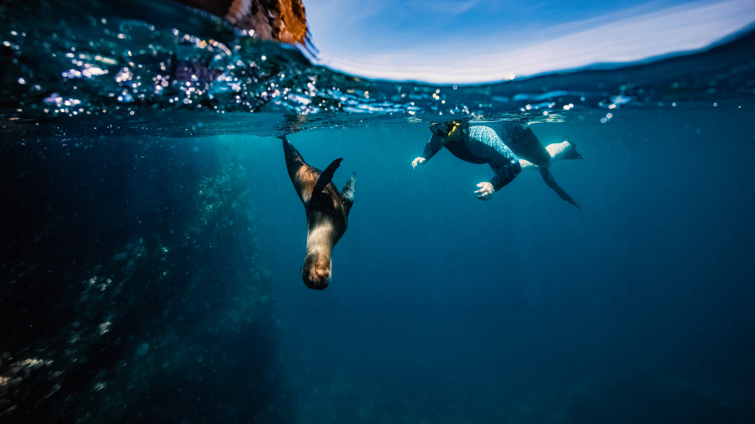 Galapagos Island Hopper experience