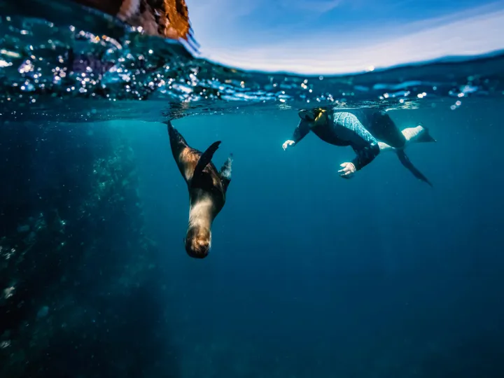 Galapagos Island Hopper experience