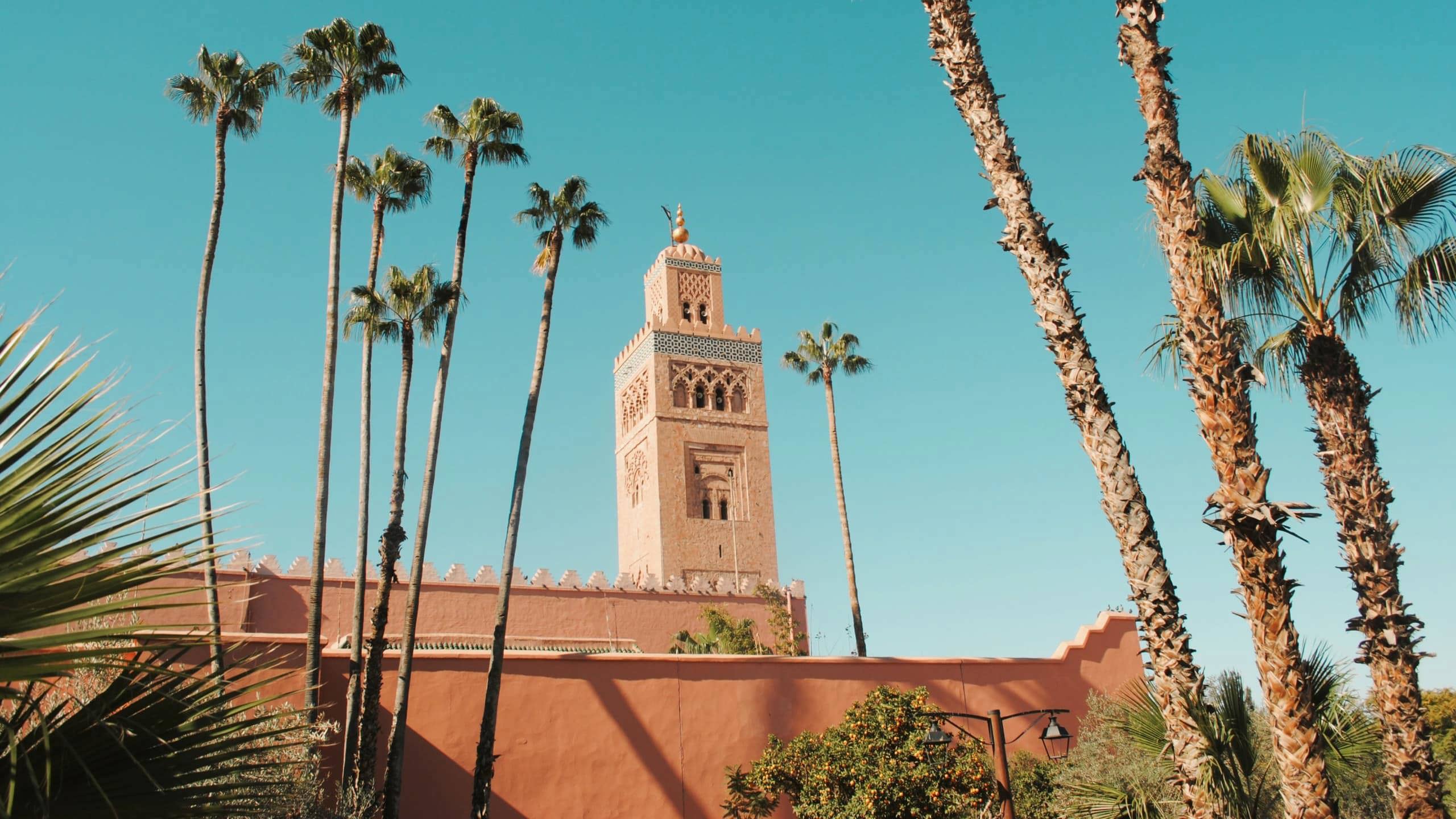 Koutoubia Mosque and palm trees in Marrakesh, Morocco, a landmark visited on the Contiki Lisbon to Marrakesh Tour