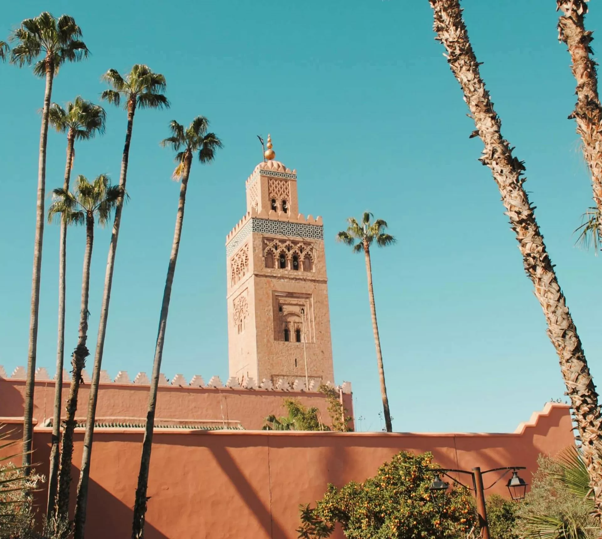 Koutoubia Mosque and palm trees in Marrakesh, Morocco, a landmark visited on the Contiki Lisbon to Marrakesh Tour