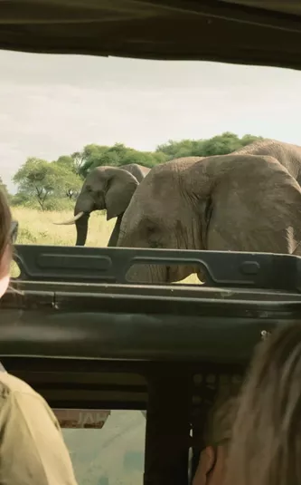 Travellers watching elephants from an open safari vehicle - Contiki Best of Kenya & Tanzania Tour