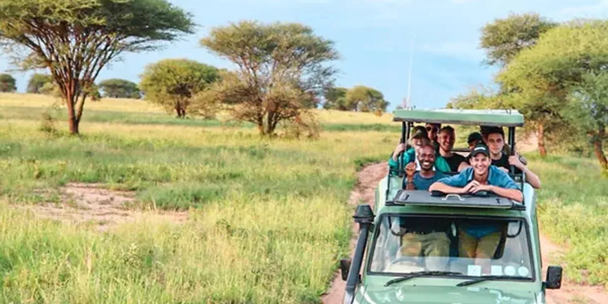 Game Drive Tarangire Tanzania