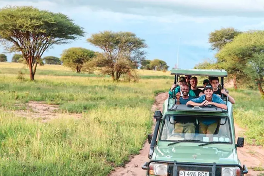 Game Drive Tarangire Tanzania