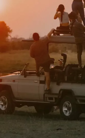 Travellers watching an elephant at sunset during a safari on Contiki's Best of Botswana & Namibia Tour