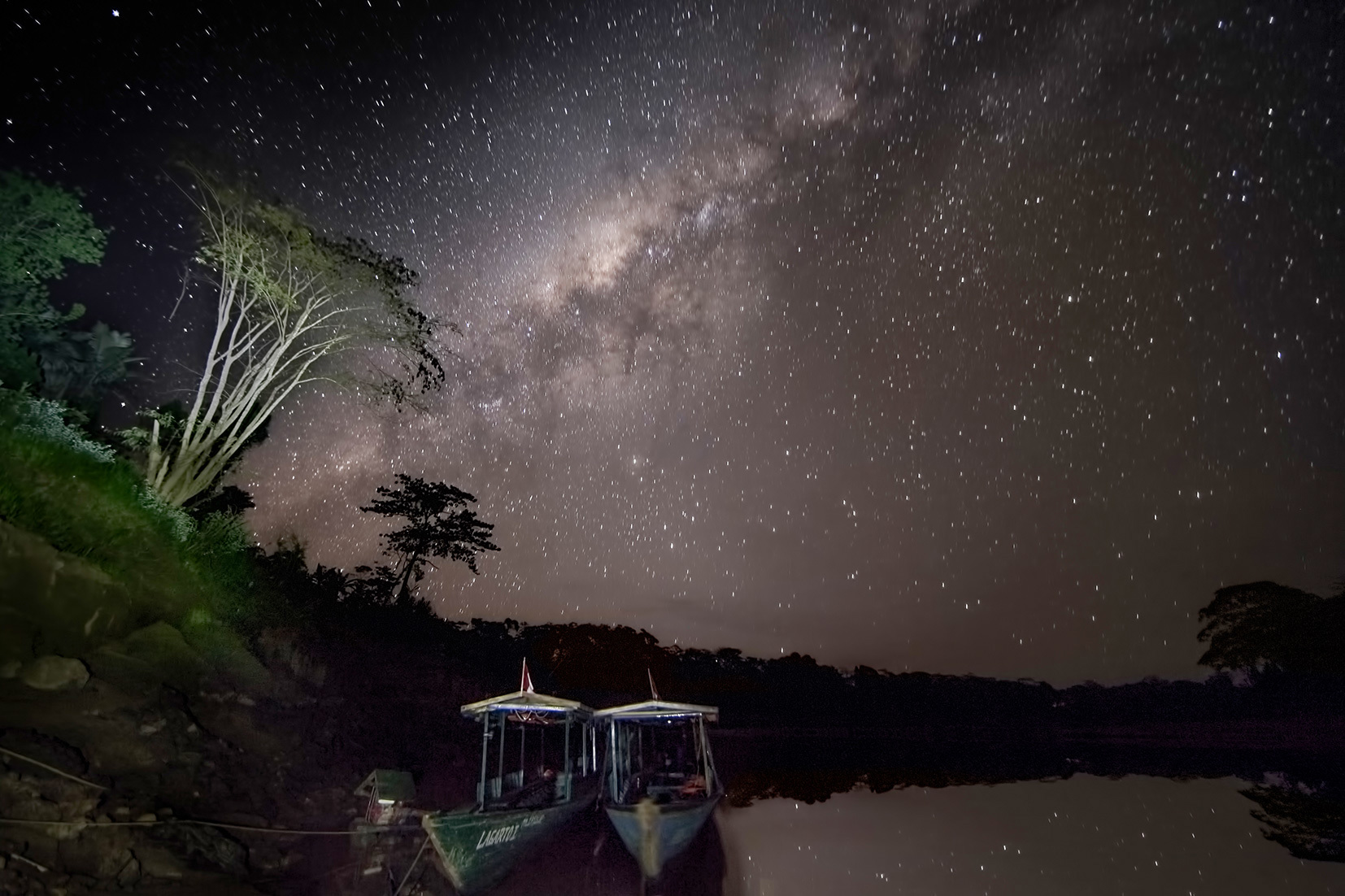 Spot Nocturnal Wildlife by Boat