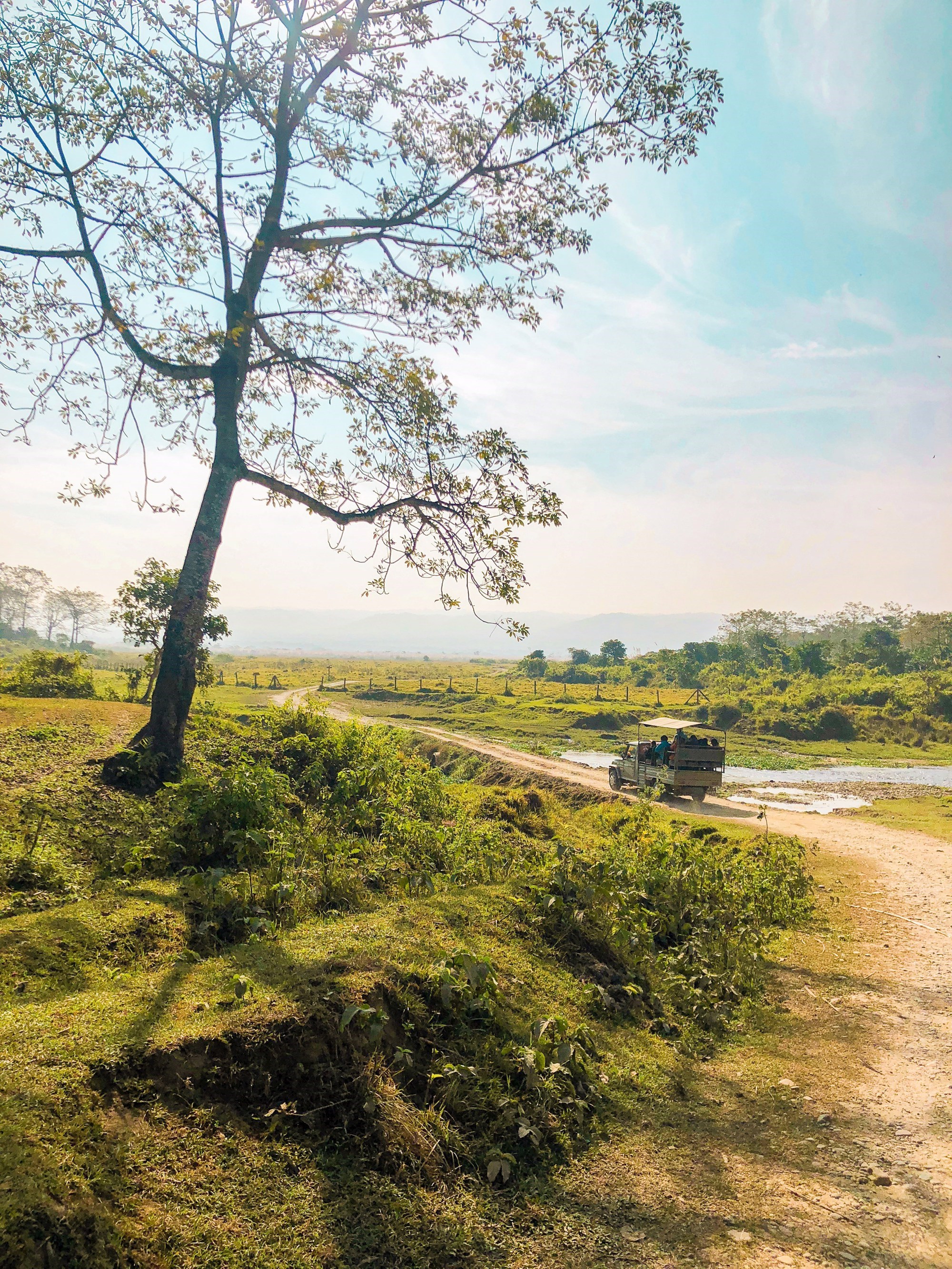 Go on Safari: Chitwan National Park 