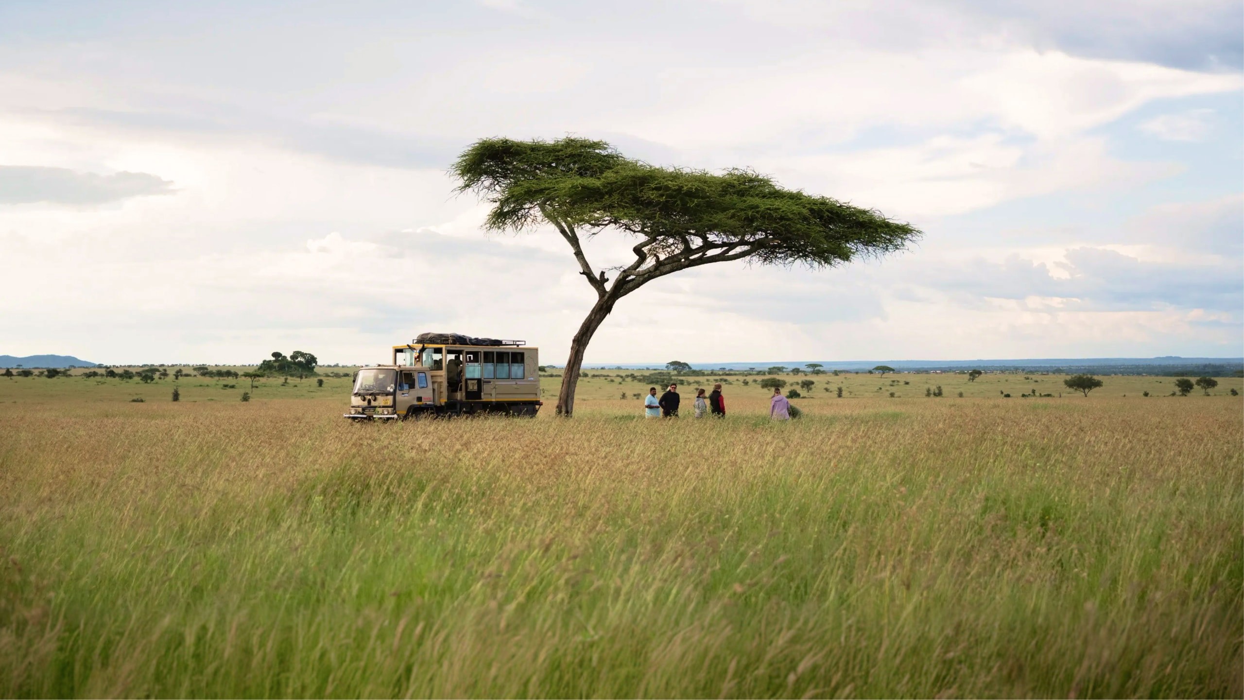 Safari travellers beneath an acacia tree in the Serengeti on Contiki's Best of Uganda, Kenya & Tanzania Tour