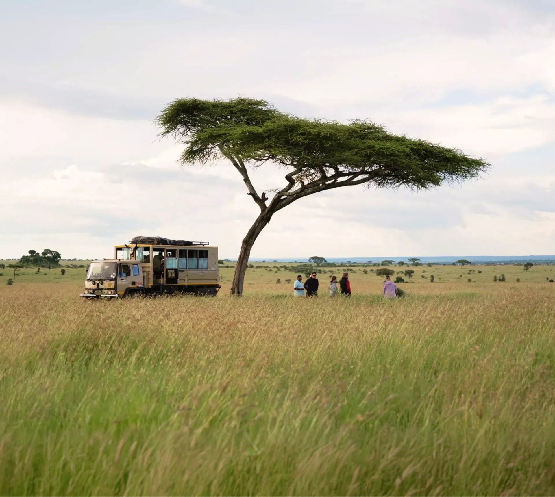 Safari travellers beneath an acacia tree in the Serengeti on Contiki's Best of Uganda, Kenya & Tanzania Tour